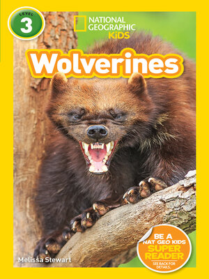 cover image of Wolverines (National Geographic Kids Readers, Level 3)
